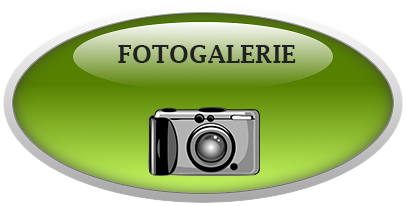 Ein glänzender grüner Button mit dem Text "FOTOGALERIE" und einem Kamerasymbol.