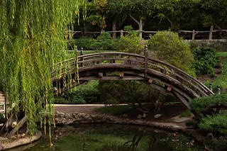 Eine Holzbrücke über einen Bach, die einen Weg des Glaubens symbolisiert.